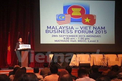 Malaysian firms seek investment and business opportunities in Vietnam - ảnh 1